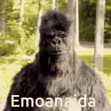 Monkey Emoanaida GIF