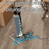 a cat playing with a ball on a scratching post