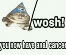 a cat wearing a party hat is laying down with the words `` you now have anal cancer '' .