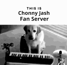 Cjfs Chonny Jash GIF - Cjfs Chonny Jash Chonny Jash Fan Server GIFs