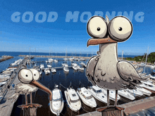 Seagull Moin GIF