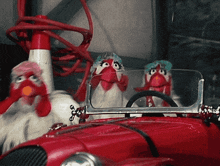 three stuffed chickens are driving a red car and one has a carrot in its mouth