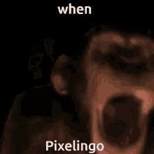 Pixelingo GIF - Pixelingo GIFs
