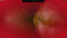 a red background with the words live dr. kel reaction written on it