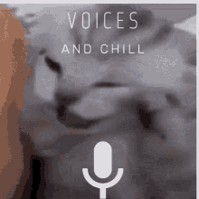 Voices GIF - Voices GIFs