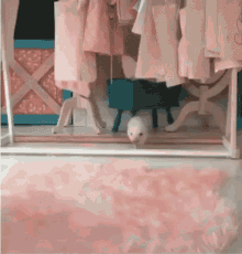 Baby Pig GIF - Baby Pig Zoomies GIFs