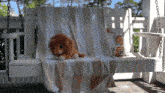 a stuffed lion is sitting on a striped towel on a porch swing
