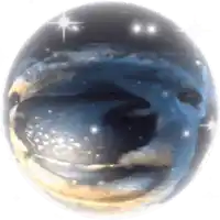 a sphere with a picture of a whale inside of it