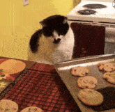 GIF