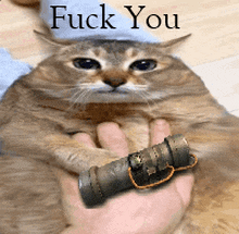 a cat is being held in someone 's hand with the words " fuck you " written above it