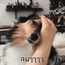 ลูบหัวหมา อ้อน น่ารัก GIF - Patting Dog Head Dag Cute GIFs
