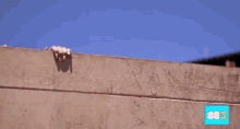 Peeking Looking Wall GIF - What You Doing I Wanna See Whats Going On GIFs
