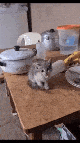 a kitten is sitting on a wooden table next to pots and plates