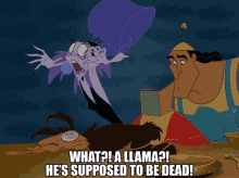 Emperors New Groove Yzma GIF - Emperors New Groove Yzma Kronk GIFs