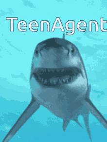 Teen Agent Sharking GIF - Teen Agent Sharking Shark GIFs