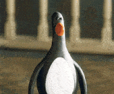 Blank Stare Wallace And Gromit GIF - Blank Stare Wallace And Gromit Penguin GIFs