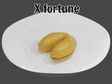 a fortune cookie with a drawing of a boy on it and the words x fortune below it