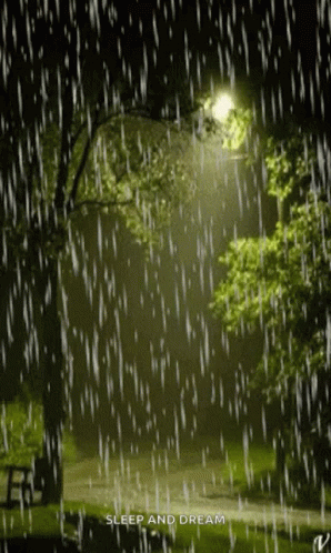 Rain Lights GIF - Rain Lights Park - Discover & Share GIFs