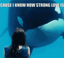 Red Orca Orca Force GIF - Red Orca Orca Force Nmh3 GIFs