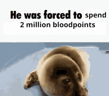He Was Forced To Dbd GIF - He Was Forced To Dbd Bloodpoints GIFs