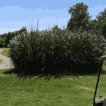 crash accident golf car bump golfersdoingthings