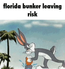 Florida Florida Bunker GIF - Florida Florida Bunker Bunker GIFs