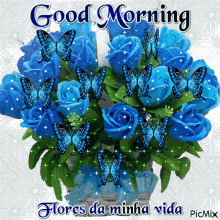 Flores Da Minha Vida Good Morning GIF - Flores Da Minha Vida Good Morning Blue Roses GIFs