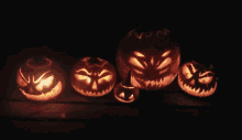 Pumpkin Halloween GIF