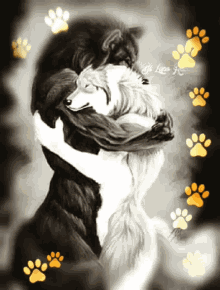 Wolf Lovers GIF - Wolf Lovers Forever GIFs