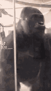 a gorilla is standing in front of a glass wall and looking at the camera .