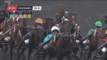 Horse Racing Horse Pulled GIF - Horse Racing Horse Pulled GIFs