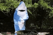 Shark Costume GIF - Shark Costume Grilling GIFs