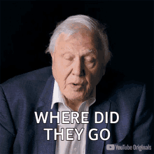 Where Did They Go Sir David Attenborough GIF