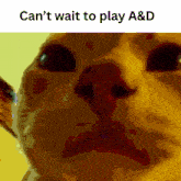 a picture of a cat with the caption can 't wait to play a&d