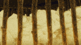 Cage Cute GIF - Cage Cute Shiro GIFs