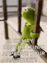 kermit the frog is hanging from a railing and asking henry did the clinic approve your surgery .