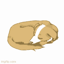 a drawing of a dog sleeping on its back with imgflip.com written below it