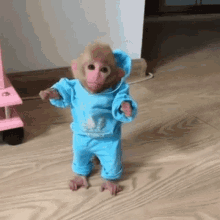a baby monkey wearing a blue hoodie and pants is walking on the floor .