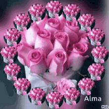 Pink Toses Alma GIF - Pink Toses Alma GIFs