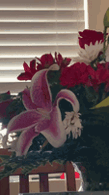 Meli Peeking Flowers Peek GIF