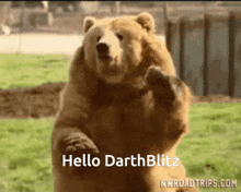 Hello Darthblitz GIF - Hello Darthblitz GIFs