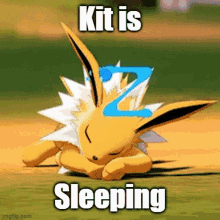 Kit Sleeping GIF - Kit Sleeping Jolteon GIFs