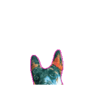a picture of a german shepherd dog with a pink border around it