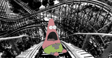 Patrick Star Rollercoaster GIF - Patrick Star Rollercoaster Scream GIFs