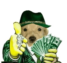 a dog wearing a green hat and gloves is holding a bunch of money
