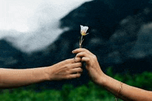 Physics Bring Back Lost Lovers GIF - Physics Bring Back Lost Lovers Love Spell GIFs