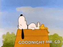 Sleeping Snoopy GIF