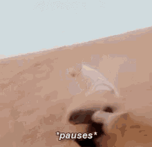 a person is standing on top of a sand dune in the desert and talking .