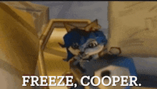a cartoon of sly cooper says freeze cooper .