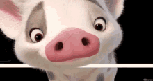 Pua Sniffing GIF